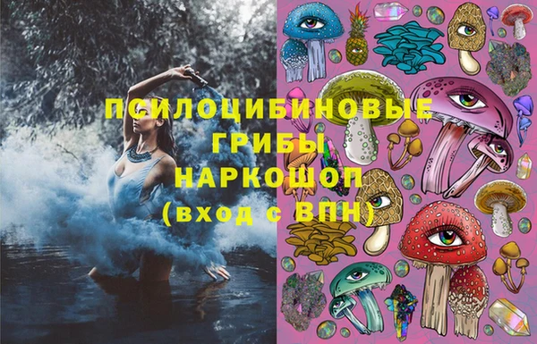 соль ск Аркадак