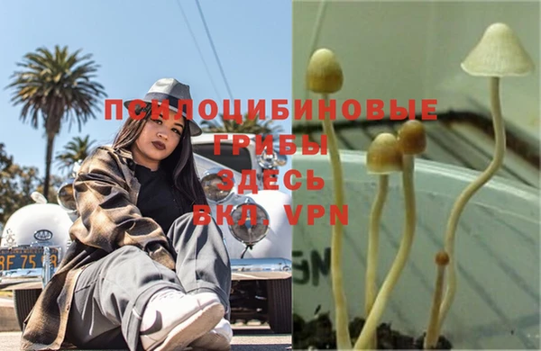 соль курить ск Арсеньев