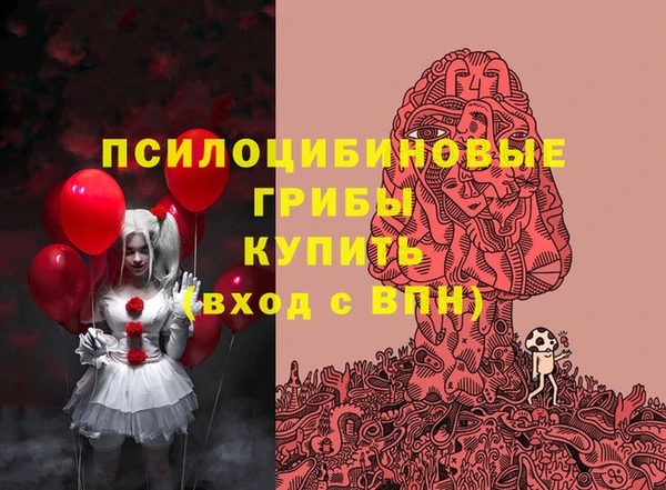 соль курить ск Арсеньев