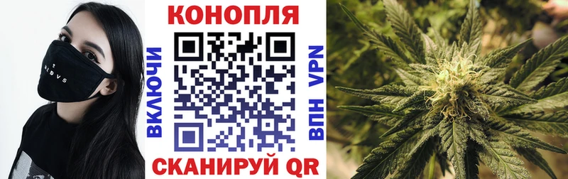 закладка  Белая Холуница  Бошки марихуана индика 